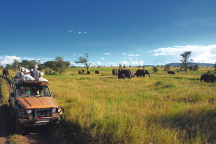 Tanzania continues to be a hot destination for wildlife viewing, and this World Wildlife Fund-endorsed tour puts visitors in a position to see significant African fauna, including African elephants. 